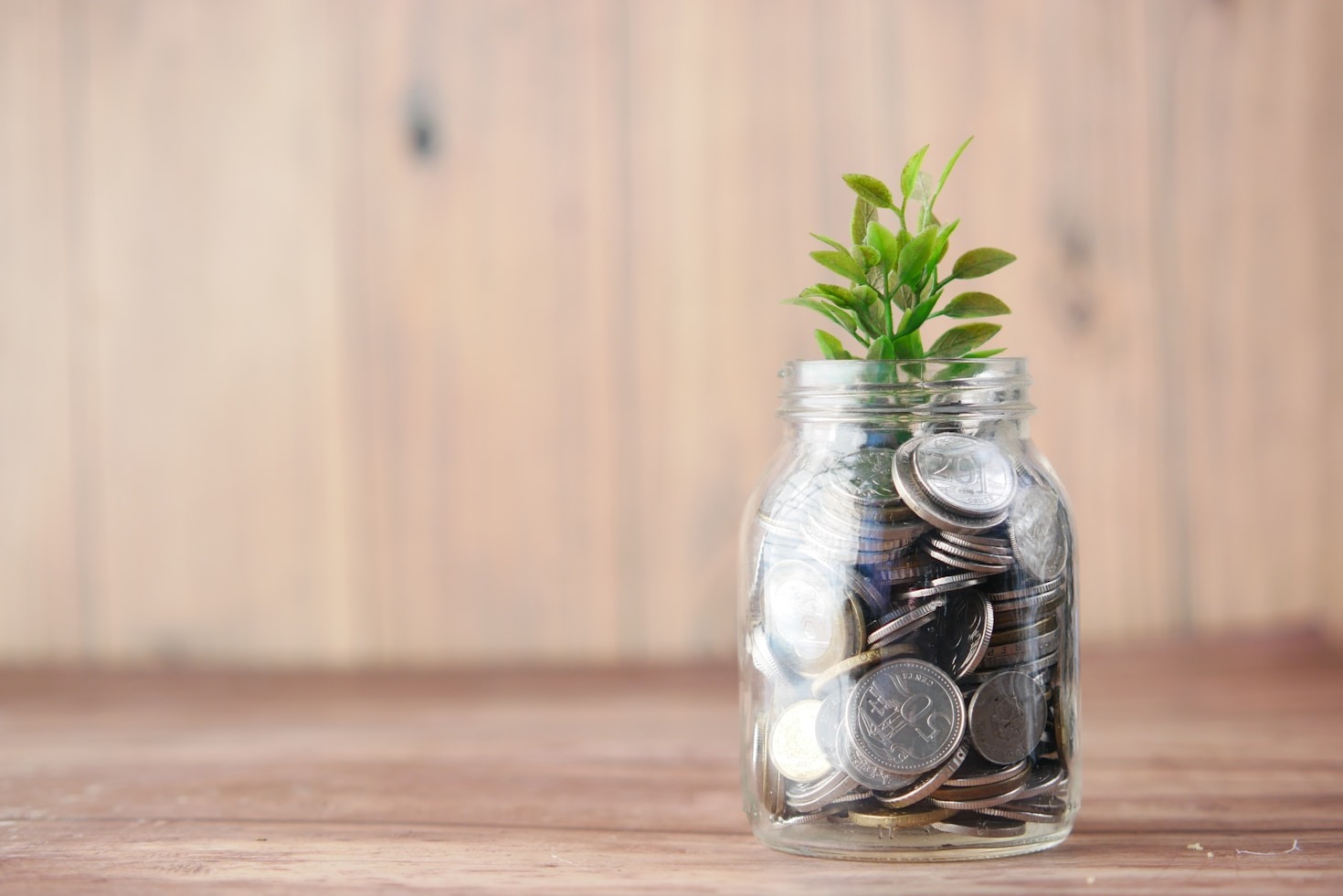 Investimentos de longo prazo: vale a pena?